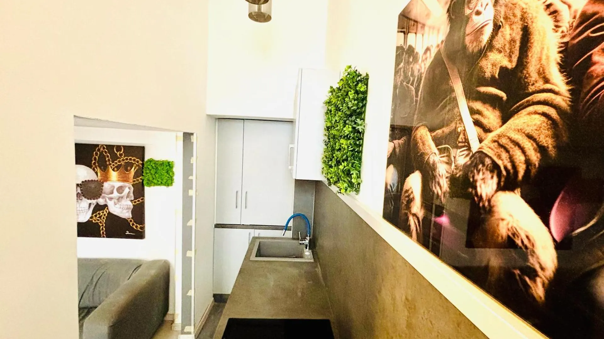 Studio 51 Budapest Hungary